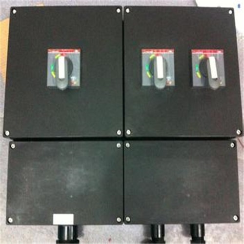 帶總開(kāi)關(guān)防水防塵防腐可逆電磁起動(dòng)器