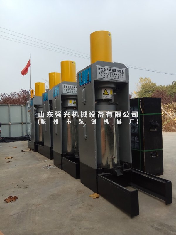 胡麻籽300噸重量壓力榨油機(jī)，元寶楓籽大型快速壓榨設(shè)備