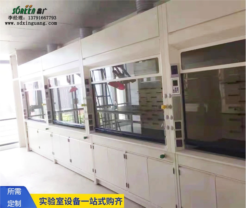 山東實驗臺廠家 實驗室設備pp通風櫥定制 化學實驗室通風系統(tǒng)