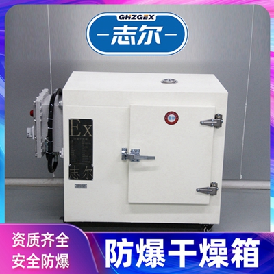 天津志爾防爆烤箱鼓風(fēng)恒溫BHD-100GF