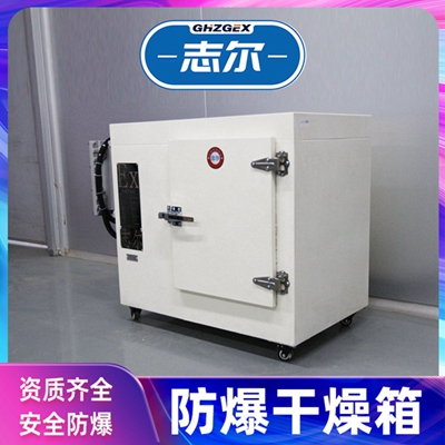 重慶防爆干燥箱電熱鼓風(fēng)支持定制