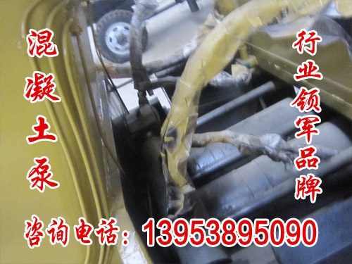 遼寧桓仁細(xì)石混凝土泵公司,高性價比