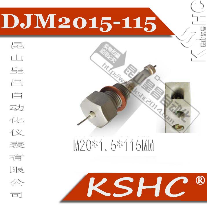 DJM2015水位計(jì)電極棒石家莊平山縣水位電極規(guī)格M16×1.5×87mm液位計(jì)電極