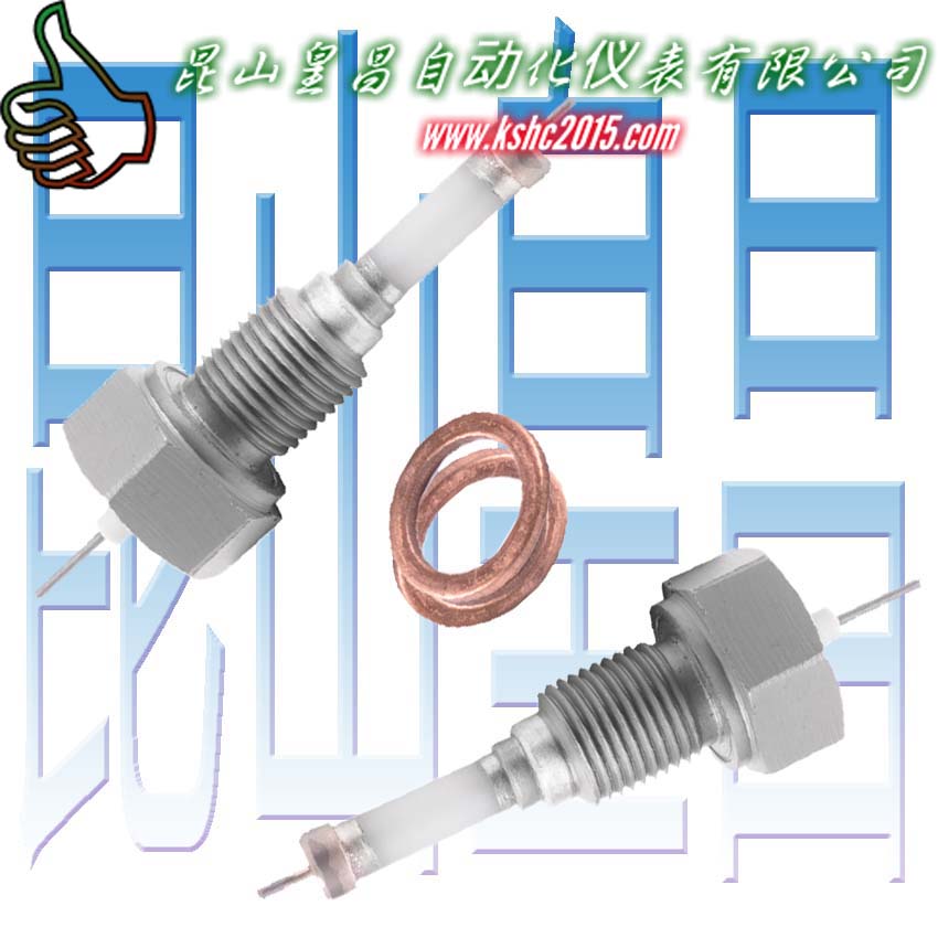 皇昌液位電極水位電極規(guī)格M18×1.5×97mm