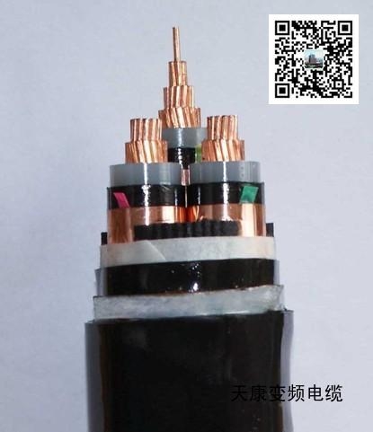 四川綿陽(yáng)天康BPYJVP2R-TK3X2.5+3X0.5