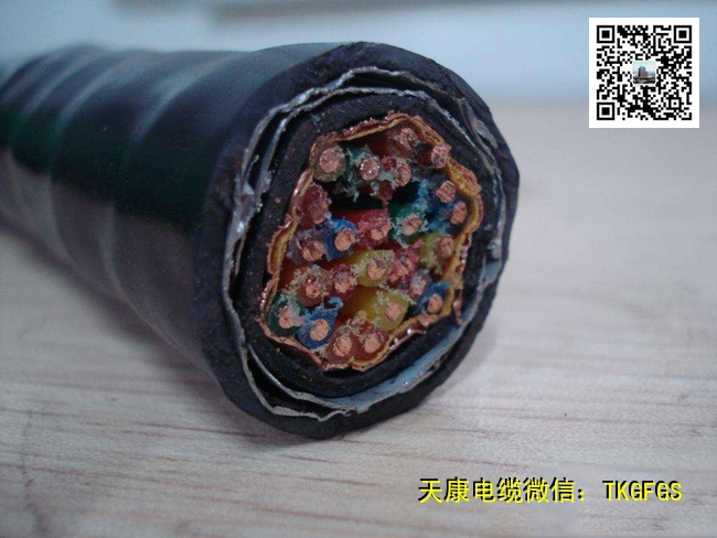 英國LR船級(jí)社認(rèn)證船用電纜CKJPJ95/SC