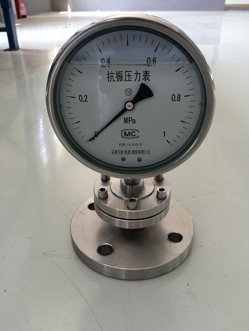 隔膜壓力表Y-100B/Z/MZ(A)/316/4MPA/50-4.0HGJ46代理岳陽直銷