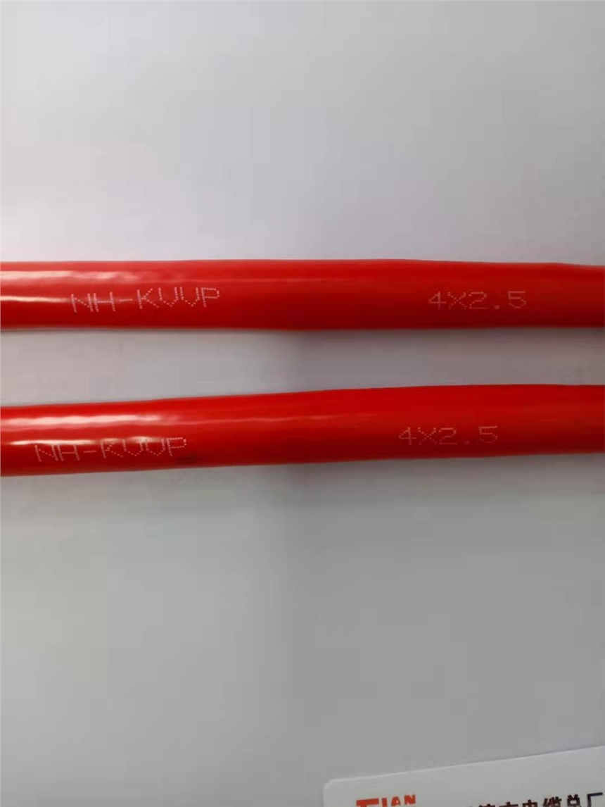 NH-KVVP2-2*1.5ͻ|