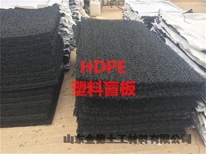 保護(hù)土體防沖刷-溝渠襯砌防滲塌塑料土工盲墊3cm厚