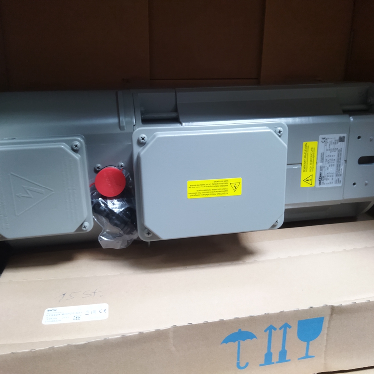 意大利OEMER電機(jī)QL 100 P三相異步電機(jī)用于鋼廠
