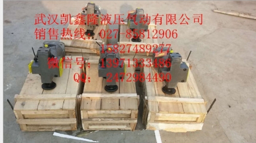 力士樂(lè)柱塞泵A2FM63/63W-VZB010馬達(dá)