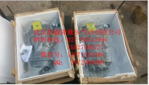 力士樂柱塞泵A2F125L6.1B5馬達(dá)