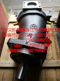力士樂柱塞泵A2F63R2P4馬達