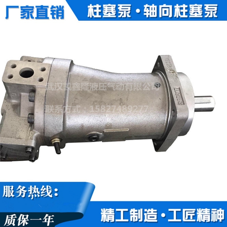 力士樂柱塞泵A2FM125/63W-VZB100馬達