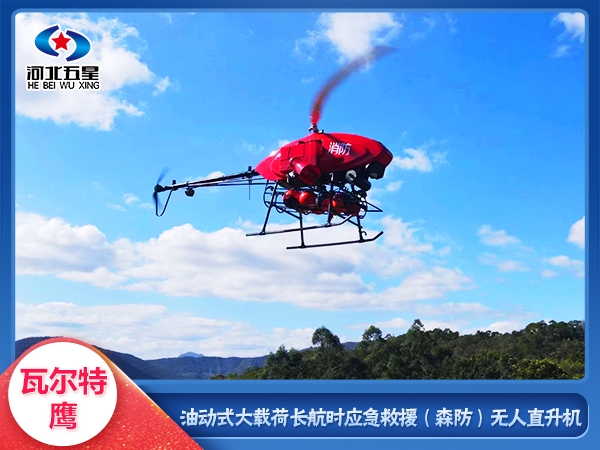 油動(dòng)式 長(zhǎng)航時(shí) 大載荷無人直升機(jī)