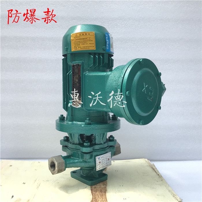 防爆電機(jī)泵GDFB65-125(I)A不銹鋼材質(zhì)