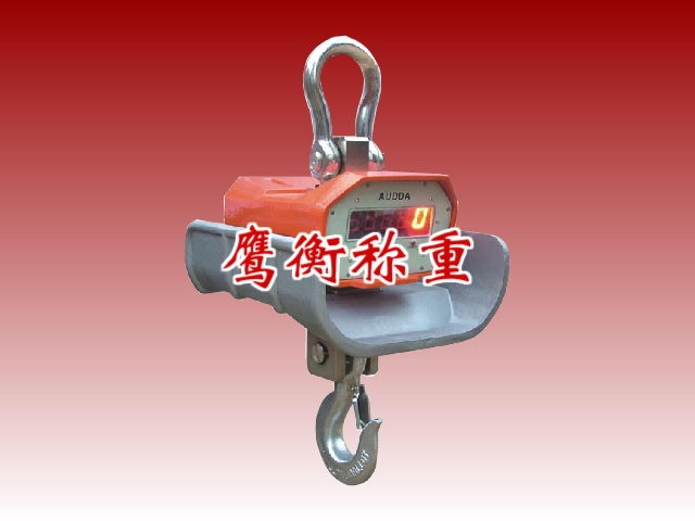 江蘇20噸吊秤//江蘇1000克天平進口
