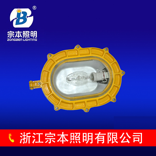 國內(nèi)最專業(yè)的防爆燈具生產(chǎn)廠家您值得信賴的合作伙伴BFE8120。