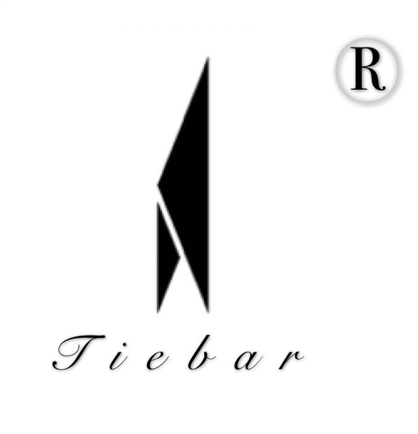 TEIBAR英國E5背景音樂功放