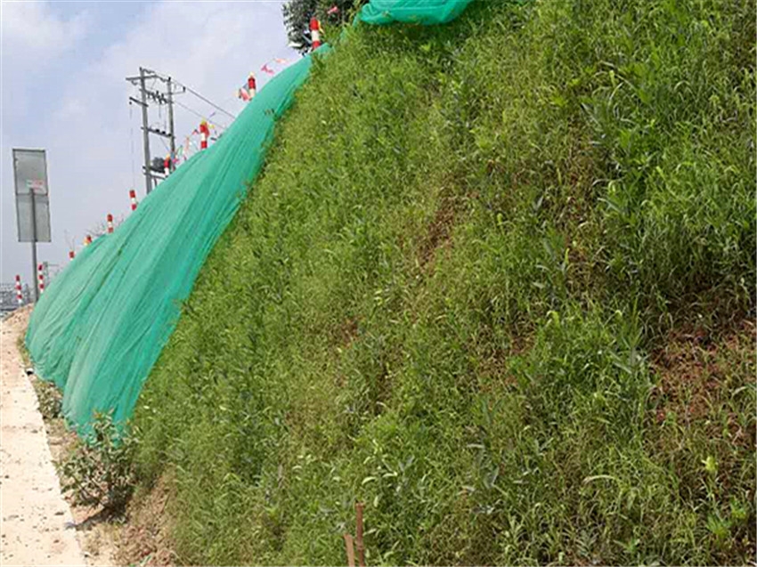 曲靖市鐵路邊坡防護(hù)植草施工隊(duì)位置
