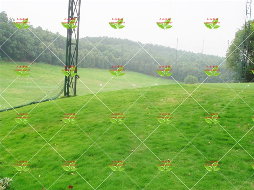 յ؏(f)G`̤ĲѶXһ