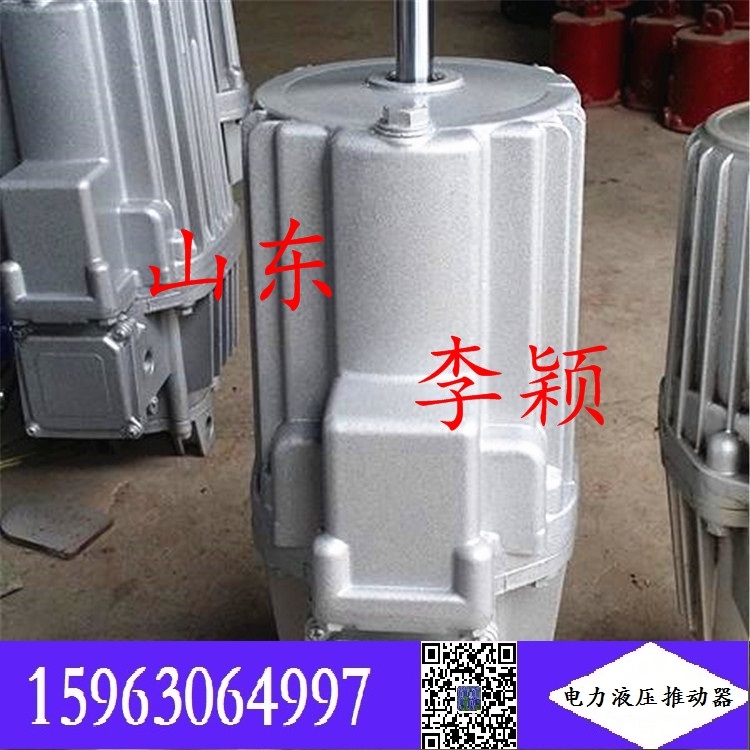 ED50/6   ed23/5液壓推動器 產品型號 使用說明