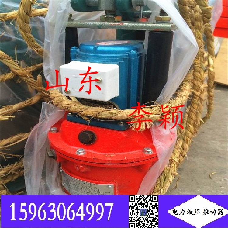 YT1-50/6液壓推動(dòng)器 電力液壓推動(dòng)器2022