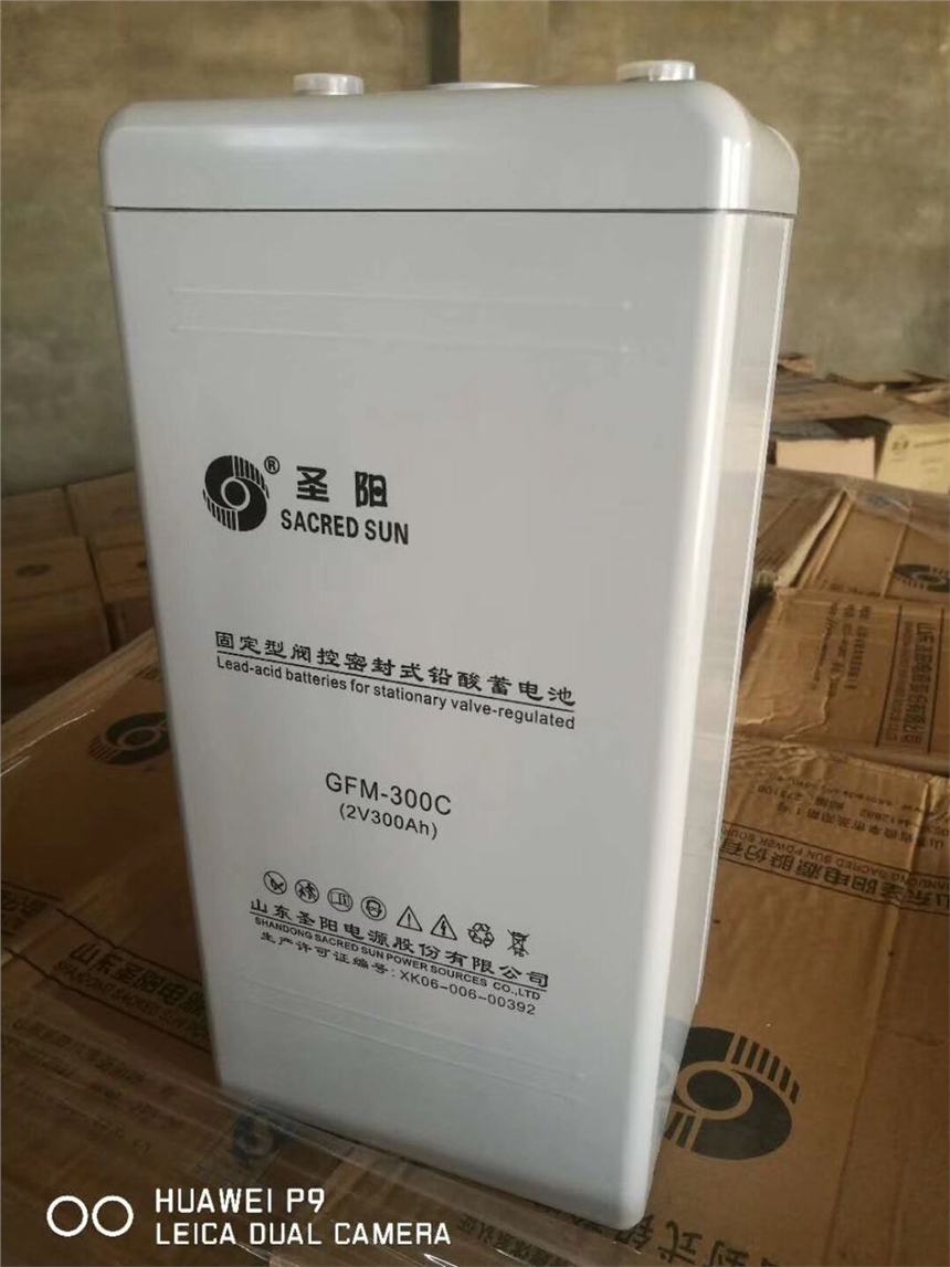 科士達蓄電池12V24AH定制