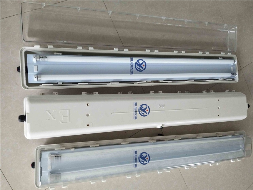 BAY81-Q單管防爆防腐全塑熒光燈  36W220V90min