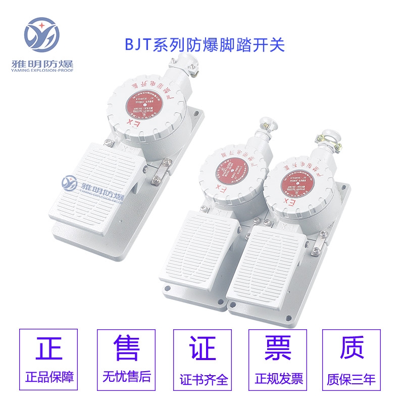 DLXK-DYT-S雙踏D單踏防爆腳踏開關(guān)10A24VIIBT6