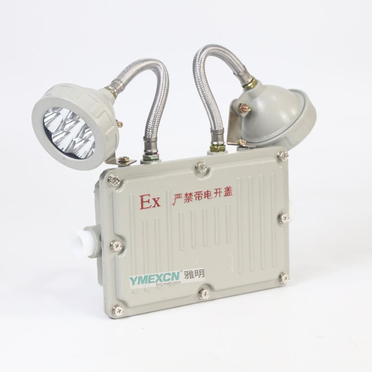 鋁廠BCJ52-2*5W防爆雙頭應(yīng)急燈 90min應(yīng)急時(shí)長