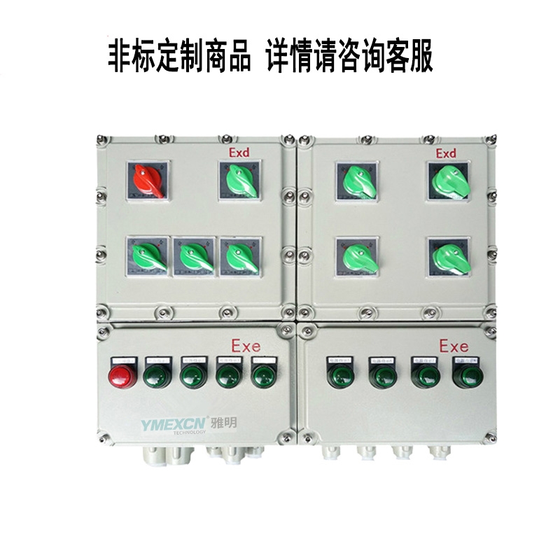 BXK-T自動切換防爆水泵控制箱 非標(biāo)定制一備一用