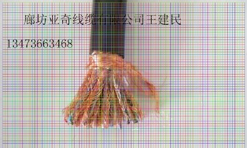 舟山WDZC-HYA23-500*2*0.5通信雙絞大對數(shù)電纜廠家優(yōu)惠價(jià)格