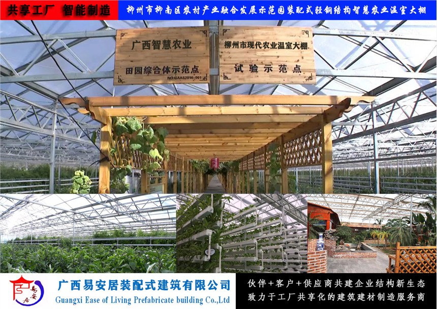 易安居共享工廠生產(chǎn)供應輕鋼蔬菜溫室大棚