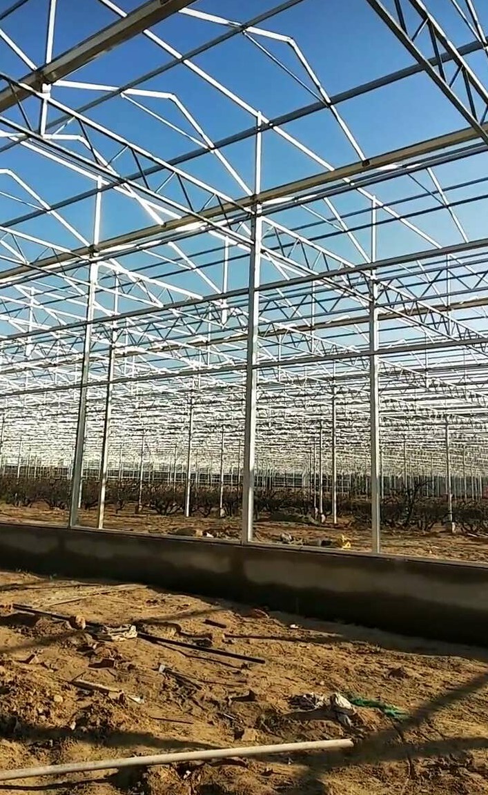 蘭州玻璃智能溫室大棚項(xiàng)目建成