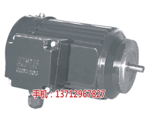 城邦I(lǐng)EC標(biāo)準(zhǔn)電機(jī)直銷(xiāo)-城邦減速電機(jī)