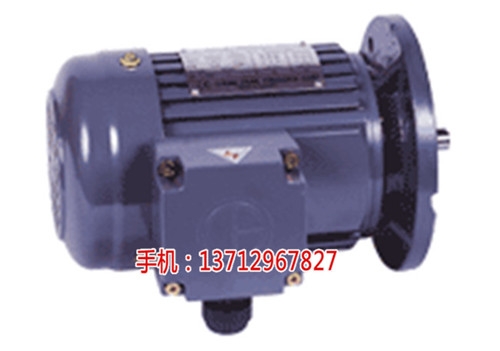 標(biāo)準(zhǔn)IEC三相馬達(dá)直銷(xiāo)-城邦減速電機(jī)