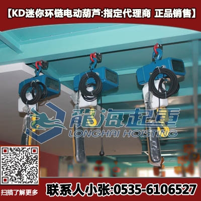 韓國鏈條電動(dòng)葫蘆250kg 迷你小型電動(dòng)葫蘆正品代理現(xiàn)貨