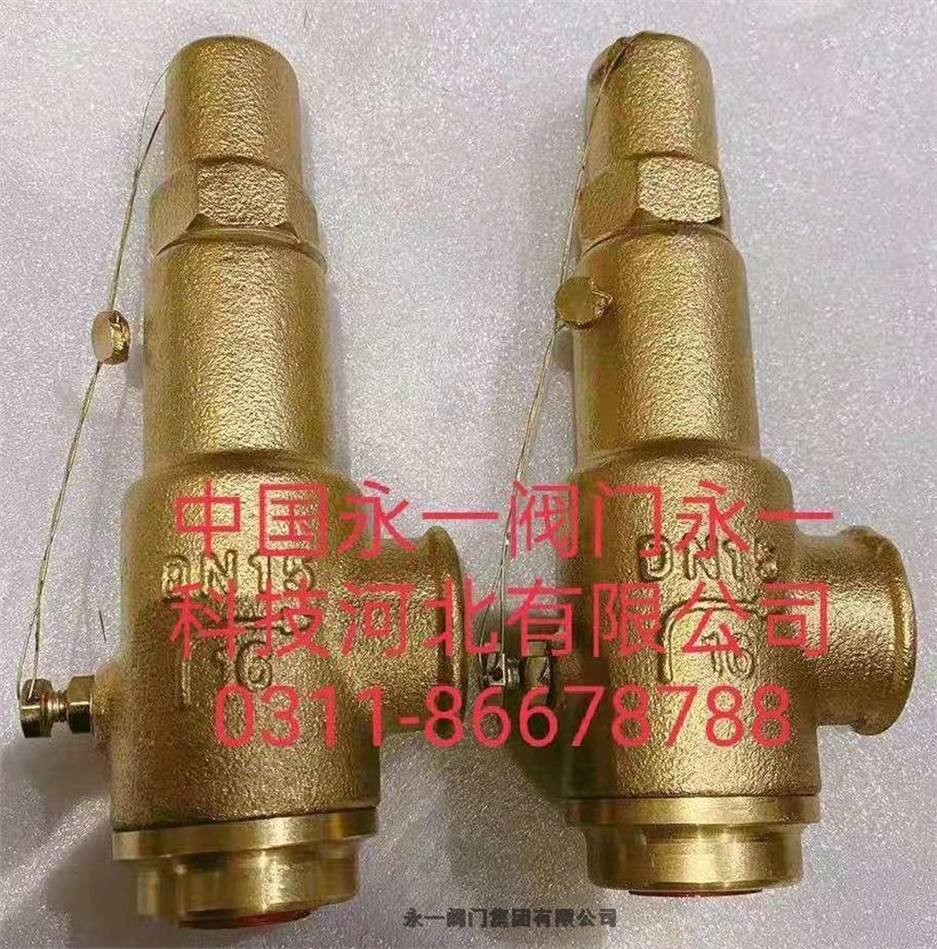 江蘇中國永一安全閥 永一閥門集團產(chǎn)品質(zhì)量可靠，安全制藥安全閥