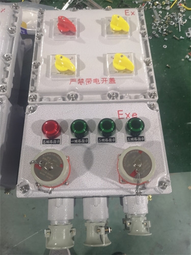 BXX-4/80K100防爆動力檢修箱 現(xiàn)場防爆檢修插座箱