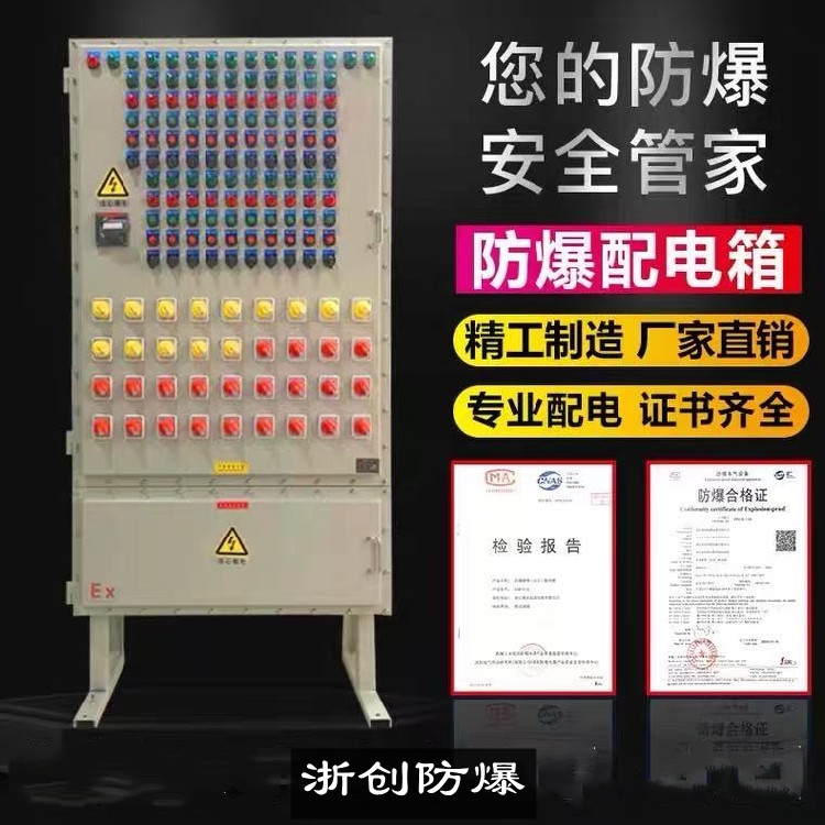 浙創(chuàng)真空攪拌機防爆正壓通風型配電柜 生產定做