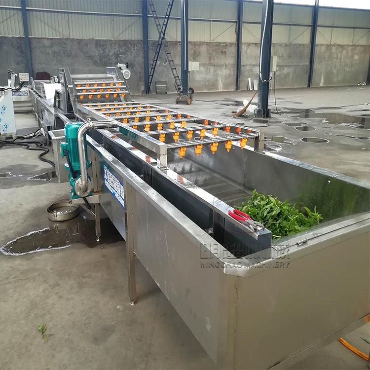 上海青漂燙機 果蔬漂燙機器