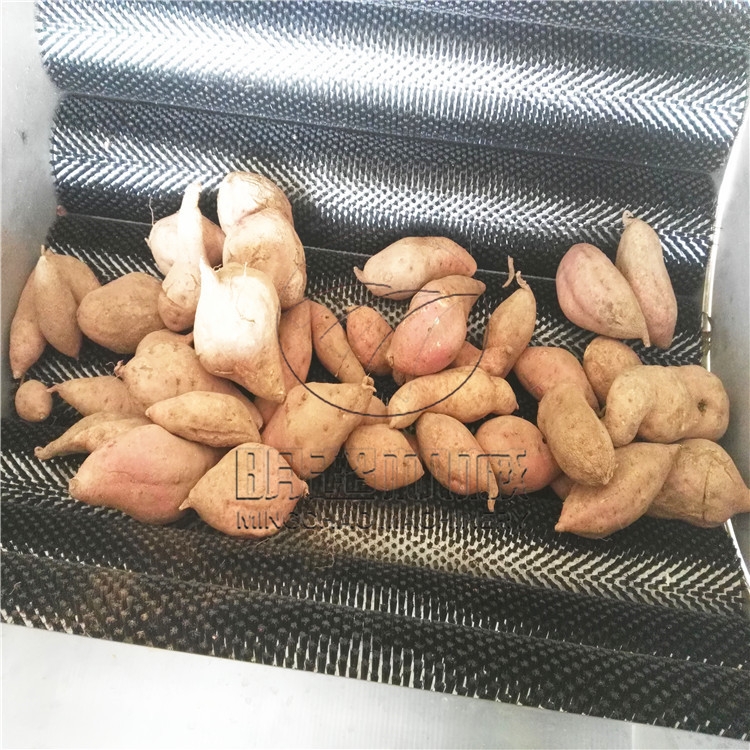 土豆、紅薯 干洗水洗機(jī)器	