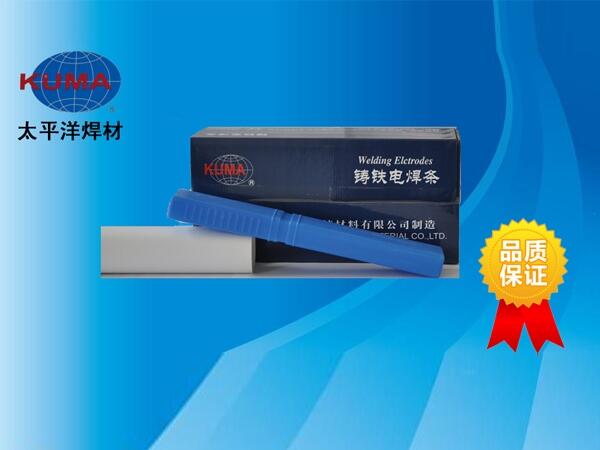 PWZ408鑄鐵電焊條  PWZ308鑄鐵電焊條