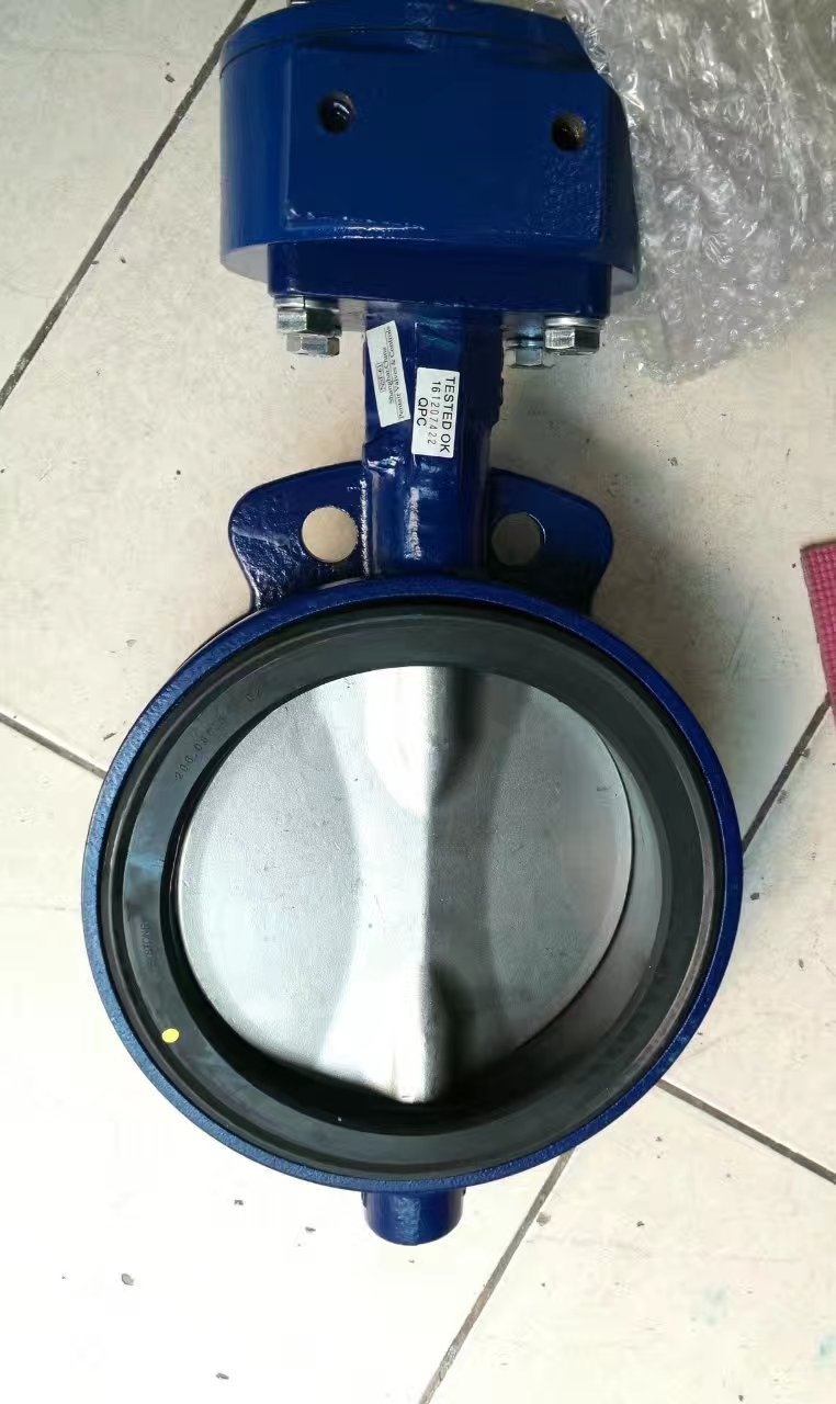 凱斯通GRW DN200光桿蝶閥