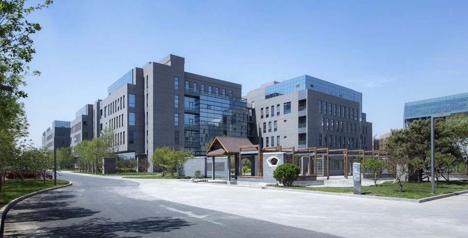 紫蘇葛根種植與加工建設可行性研究報告范文