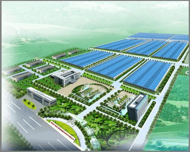 林下中藥材種植及加工可行性報告通過