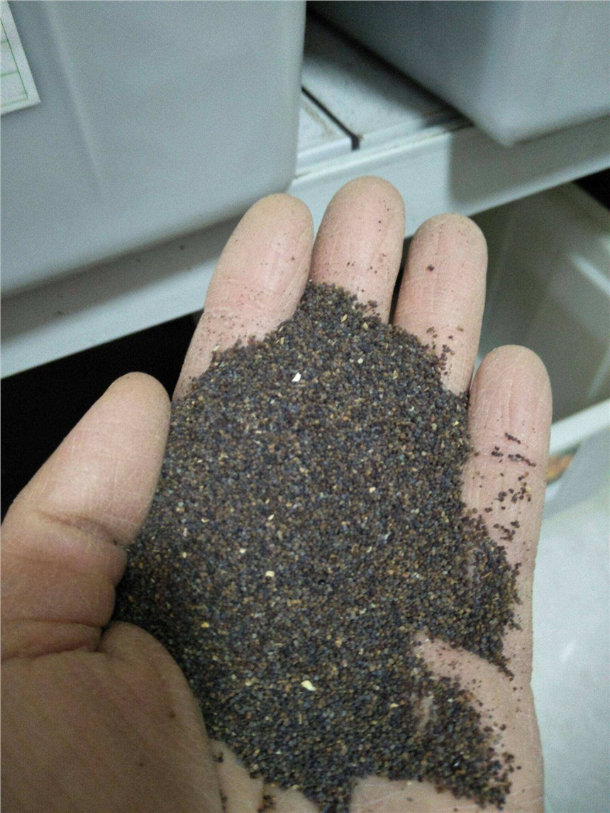 廣西南寧眾興生態(tài)虞美人種子價格打造花?；ɑ芑ǚN花籽批發(fā)承接各種邊坡綠化工程撒草籽