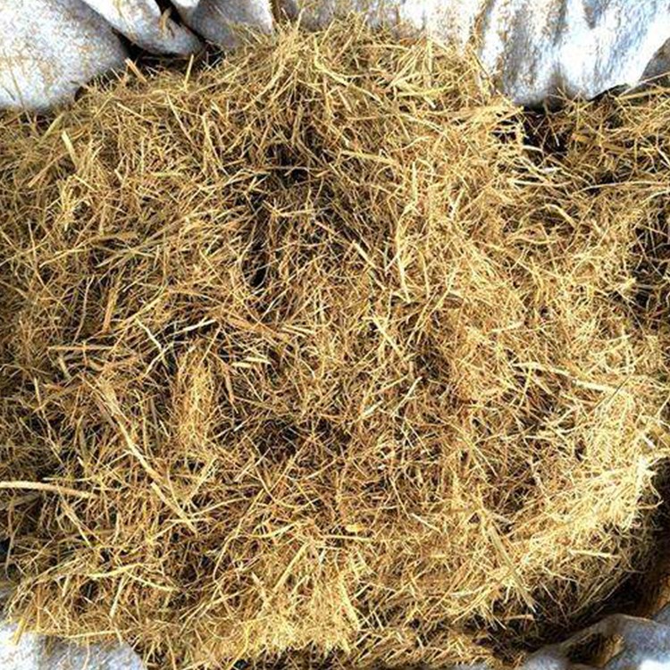 海南?？诓堇w維價(jià)格承接各種邊坡綠化工程植被混凝土客土噴播植草