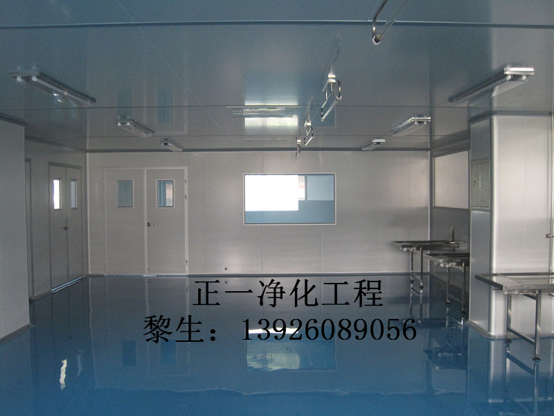 東莞烘焙食品無塵車間裝修公司 惠州糕點(diǎn)潔凈車間裝修規(guī)劃 汕頭食品凈化車間裝修公司